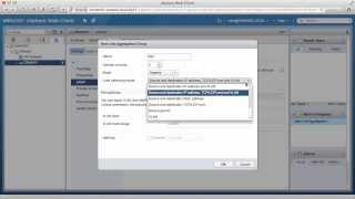 Link Aggregation Groups  VMware vSphere Distributed Switch [upl. by Airehtfele910]