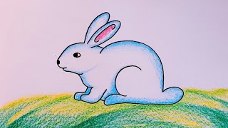 How to Draw Rabbit for Beginners  Rabbit Drawing Colour  Cute Rabbit Drawing Step by Step [upl. by Yerffoeg]