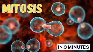 Mitosis amp its Significance  Karyokinesis  Cytokinesis  Biology mitosis biology [upl. by Elsworth]