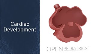 Cardiac Development by L McCabe  OPENPediatrics [upl. by Ozen356]