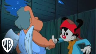 Steven Spielberg Presents Animaniacs  Wakkos Wish  Pip  Warner Bros Entertainment [upl. by Abbate]