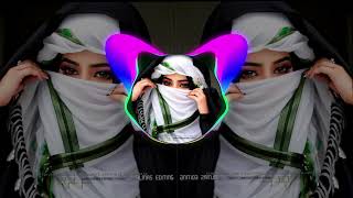 New Arabic Remix  Bass Boosted ریمیکس 2024   SlowedReverb  New Song 2024 [upl. by Nordin]