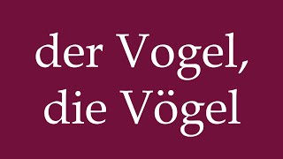 How to Pronounce der Vogel die Vögel the Bird Birds Correctly in German [upl. by Ardath190]