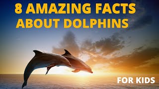 Dolphins for Kids Eight Amazing Facts about Dolphins for Kids [upl. by Alisia556]