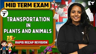 Transportation in Plants and Animals  15 Minutes Rapid Recap in English  Mid Term  Class 7 [upl. by Farrison]