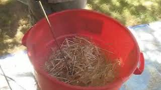 This Homemade Wheat Threshing Machine Will Change Your Life [upl. by Elvin53]