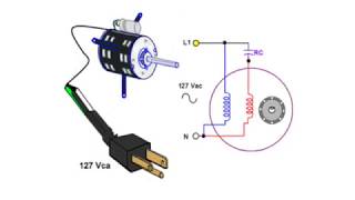 Motores Monofásicos  Teoría y demostración [upl. by Nossila140]