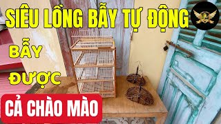 Siêu Lồng Bẫy Tự Động Của Mình Được AE Hải Phòng Tặng  Bẫy Được Tất Cả Các Loài Chim  My Bird Trap [upl. by Ssyla266]