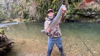 Small creek fishing Washington State [upl. by Hanley250]