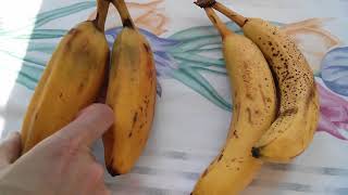 Seven Different Types of Bananas  Baby Manzano Thai Red Burro Plantain Cavendish [upl. by Brenk]