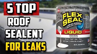 Best Roof Sealant For Leaks  Metal Roofs Repair [upl. by Ilyah]