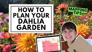 How to Plan a Dahlia Cut Flower Garden 💐 Tips for mapping your dahlia tuber or cut flower farm [upl. by Wait]