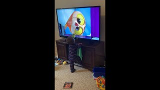 Kid Breaks TV Must Watch [upl. by Adolphus]