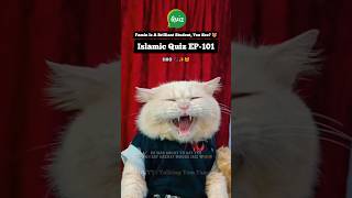 Ep101 ✨ Wo kounse Paighambar AS the jo khwaabo ki tabeer batate the islamicquiz With famin [upl. by Arakal]