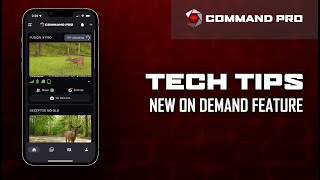 COMMAND PRO TECH TIP  How To Use the ONDEMAND Feature [upl. by Behre]