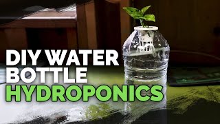 DIY Water Bottle Hydroponic System for Propagating and Herbs [upl. by Nivej30]