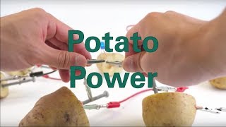 Potato Power [upl. by Reagan]