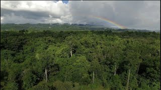 CONABIO 30 años conservando la Biodiversidad Mexicana [upl. by Ahs488]