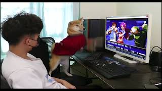 Funny dog playing PC games（Full version） [upl. by Pond]