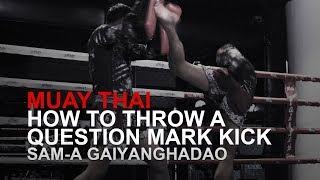 Muay Thai How To Throw A Question Mark Kick  Evolve University [upl. by Tocci]