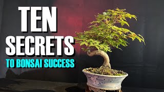 TEN SECRETS to Bonsai Success for Beginners [upl. by Keyte790]