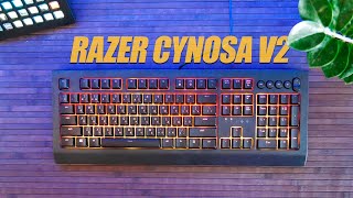 Razer Cynosa V2  Обзор [upl. by Gnex]