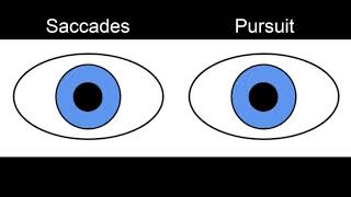 RS Supranuclear Ocular Motor Pathways Part 1  Horizontal Saccades [upl. by Thetos]