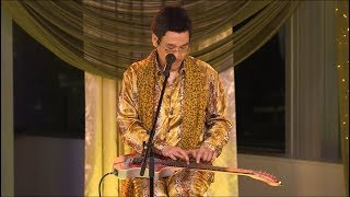 PPAP Acoustic guitar version PIKOTARO（ピコ太郎 [upl. by Aicrop]