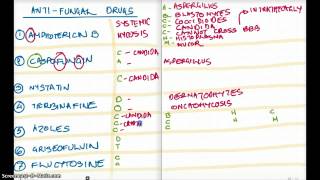 Easy Ways to Remember All The AntiFungals [upl. by Aramot639]