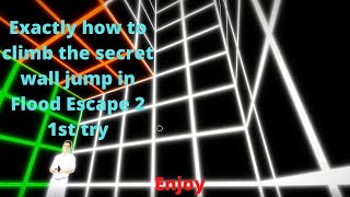 How To Climb The Secret Wall Jump In Flood Escape 2 1st try [upl. by Cattier]