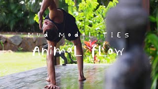 Introduction to Animal Flow full 20 min workout [upl. by Emeline]