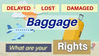 DELAYED LOST OR DAMAGED BAGGAGE  RIGHTS OF AIR PASSENGER [upl. by Abihsat152]