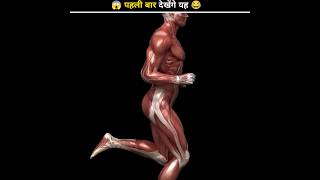 Why Do We Get Muscles Cramps हमें मांसपेशियों में ऐंठन क्यों होती है 😱 shorts dailyfacts [upl. by Hadleigh8]