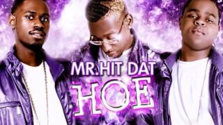 Treal Lee amp Prince Rick  Mr Hit Dat Hoe Remix ft ZRo Chalie Boy amp Dorrough 2009 [upl. by Noonan483]