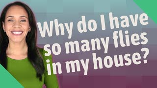 Why do I have so many flies in my house [upl. by Lerat]