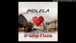 Dr Malinga ft KwestaIndlela [upl. by Myrilla]