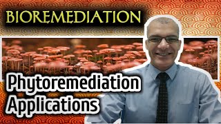 Phytoremediation Applications [upl. by Loos89]