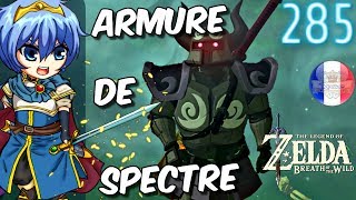 Astuce Zelda Breath Of The Wild 285 Armure De Spectre DLC [upl. by Tine306]