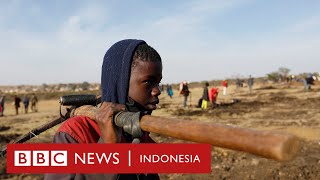 Para pemburu berlian Jika ini bukan berlian hati kami akan hancur  BBC News Indonesia [upl. by Lauritz627]