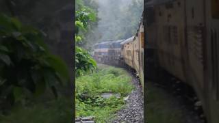 Twin WDP4 under drizzling rains inside Mollem National park Goa onboard 18048 Amaravati Express [upl. by Jamima]