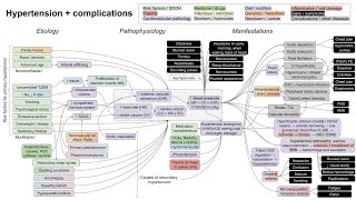 Hypertension and complications mechanism of disease [upl. by Brause]