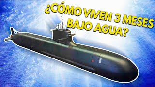 ¿Cómo vive la TRIPULACIÓN dentro de un SUBMARINO  ¿Cuál es su rutina bajo el agua [upl. by Docile]