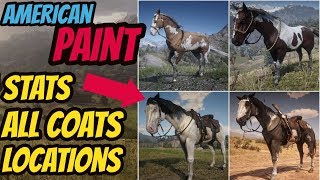 Red Dead Redemption 2 American Paint LOCATION amp ALL COATS amp STATS GOOD HORSE GUIDE [upl. by Adnauqaj]