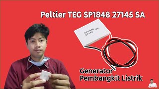 Konversi Energi  Peltier TEG SP1848 27145 SA Power Generator Keramik Pembangkit Listrik [upl. by Aurelius82]