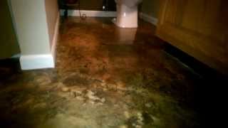 Decorative Concrete Resurfaced Bathroom Floor Antique Faux Acid Stain Lake Ozark MO [upl. by Urbannal88]