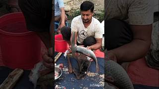 Amazing Goint rohi fish cutting skills fishcuting viralvideo [upl. by Nylecsoj]