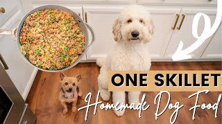 How to make cooked dog food  Dog Nutrition Lessons  Ep 14 [upl. by Faun]