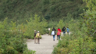 Mendenhall Glacier amp Gardens  Shore Excursion  NCL [upl. by Eannaj911]