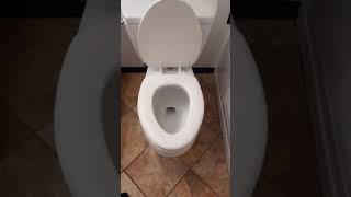 DIY Glacier Bay Toilet Assembly and Installation [upl. by Hevak623]