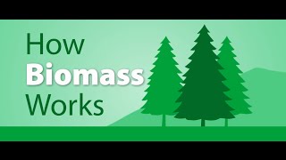 How Biomass works [upl. by Eenerb]